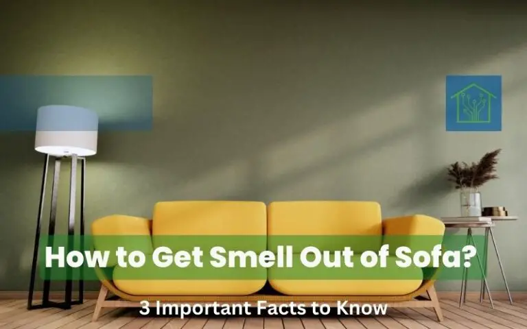How to Get Smell Out of Sofa: Know 3 Important Facts