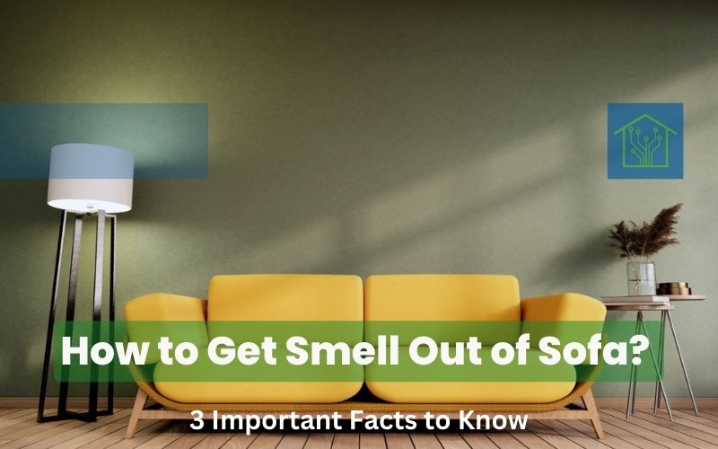 How to Get Smell Out of Sofa: Know 3 Important Facts