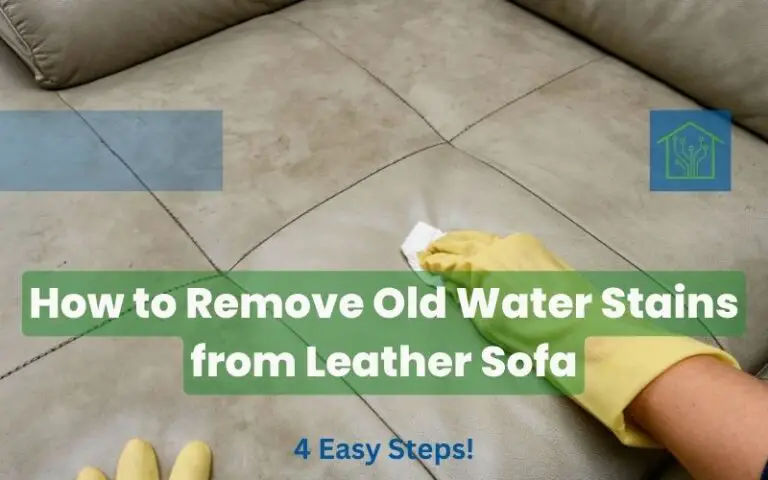 How to Remove Old Water Stains from Leather Sofa: 4 Easy Steps!