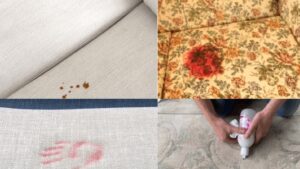 How to Remove Stains From Sofa at Home: The Ultimate 3 Stage Guide