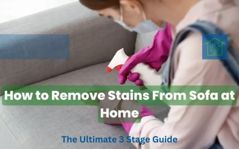 How to Remove Stains From Sofa at Home - The Ultimate 3 Stage Guide