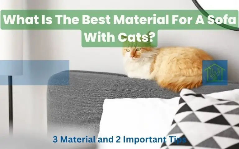 What Is The Best Material For A Sofa With Cats? 3 Material and 2 Important Tips