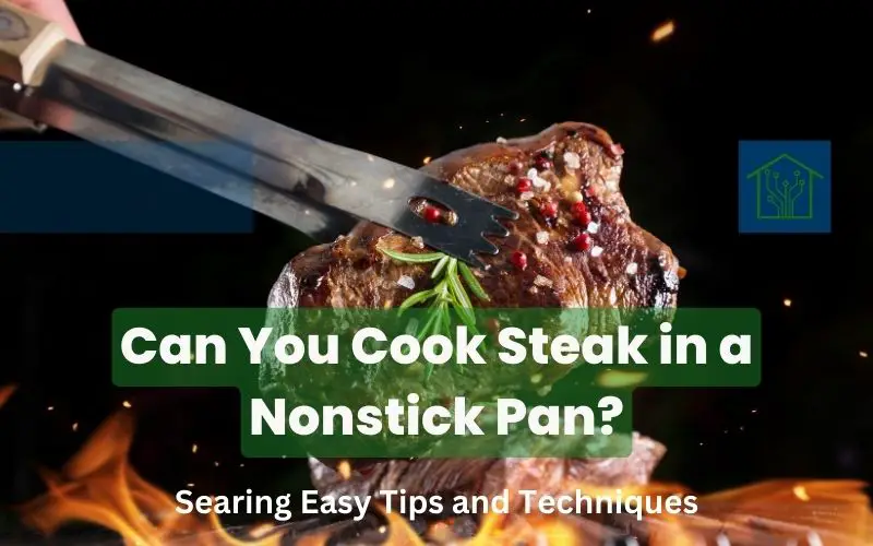 Can You Cook Steak in a Nonstick Pan - Searing Easy Tips and Techniques