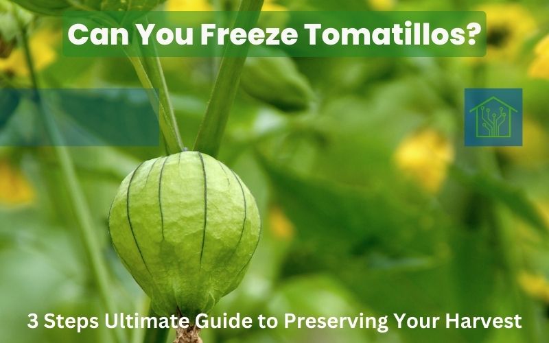 Can You Freeze Tomatillos? - 3 Steps Ultimate Guide to Preserving Your Harvest