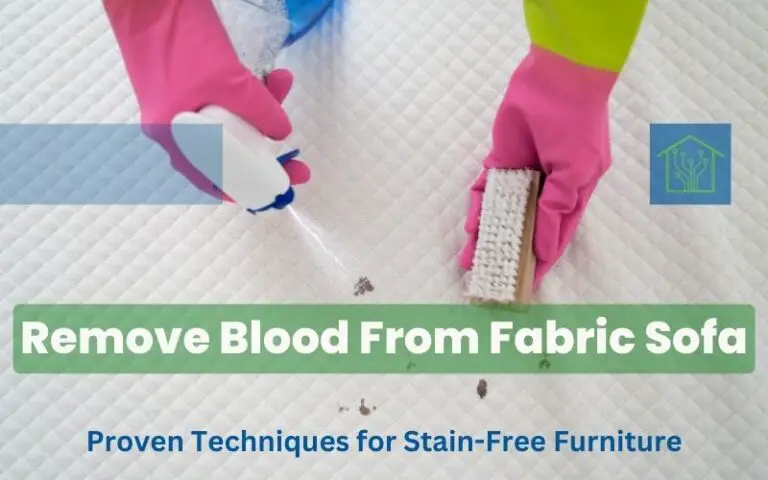 Remove Blood From Fabric Sofa: Proven Techniques for Stain-Free Furniture