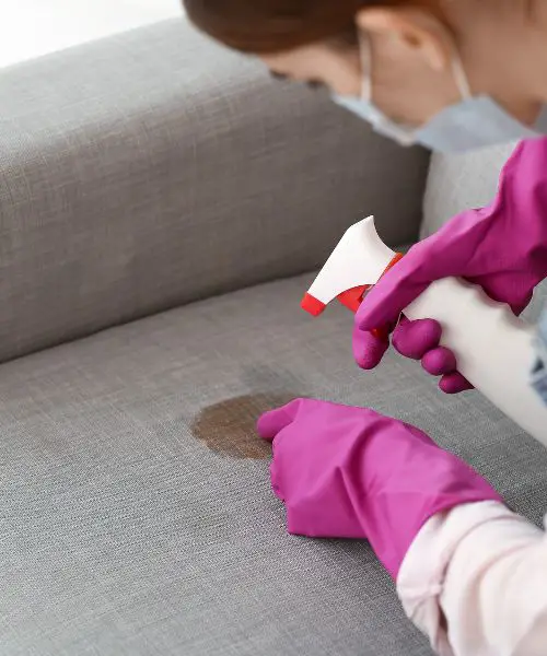 Remove Blood From Fabric Sofa
