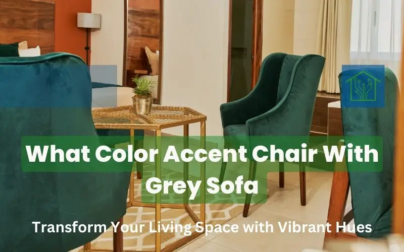 What Color Accent Chair With Grey Sofa : Transform Your Living Space with Vibrant Hues