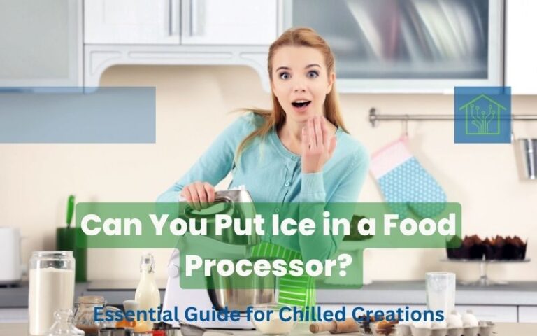 Can You Put Ice in a Food Processor